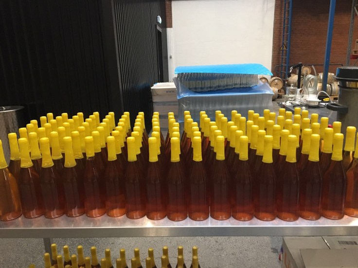 C9D548CB-1D5C-43BE-A770-BDDE5B968748