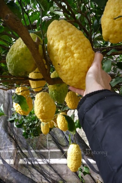 7772AA03-5565-4749-82FA-81CCEE6F5F49