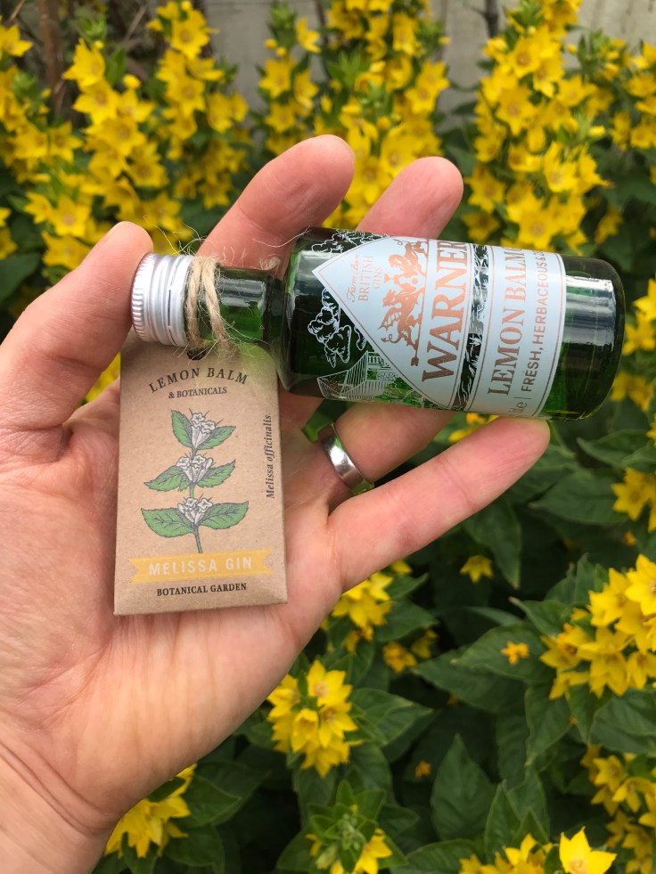 90654AAF-2B75-4AC7-84A3-1997E45B1502