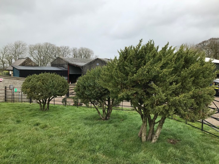 ED50845F-5A8A-4115-81C2-EB3EF851E420