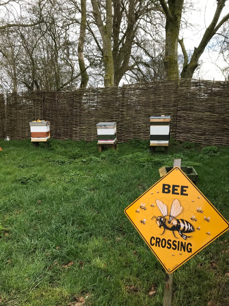 F1E64805-4DCF-4BE0-A248-0F785546E5E8